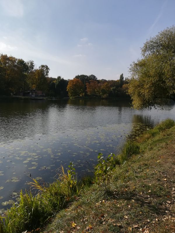 IMG_20181009_122354.jpg