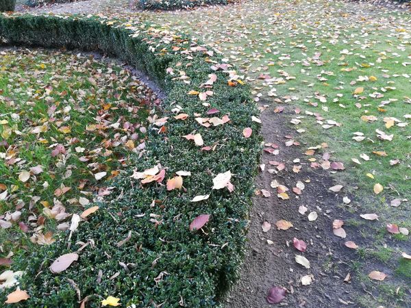 IMG_20181010_165718.jpg